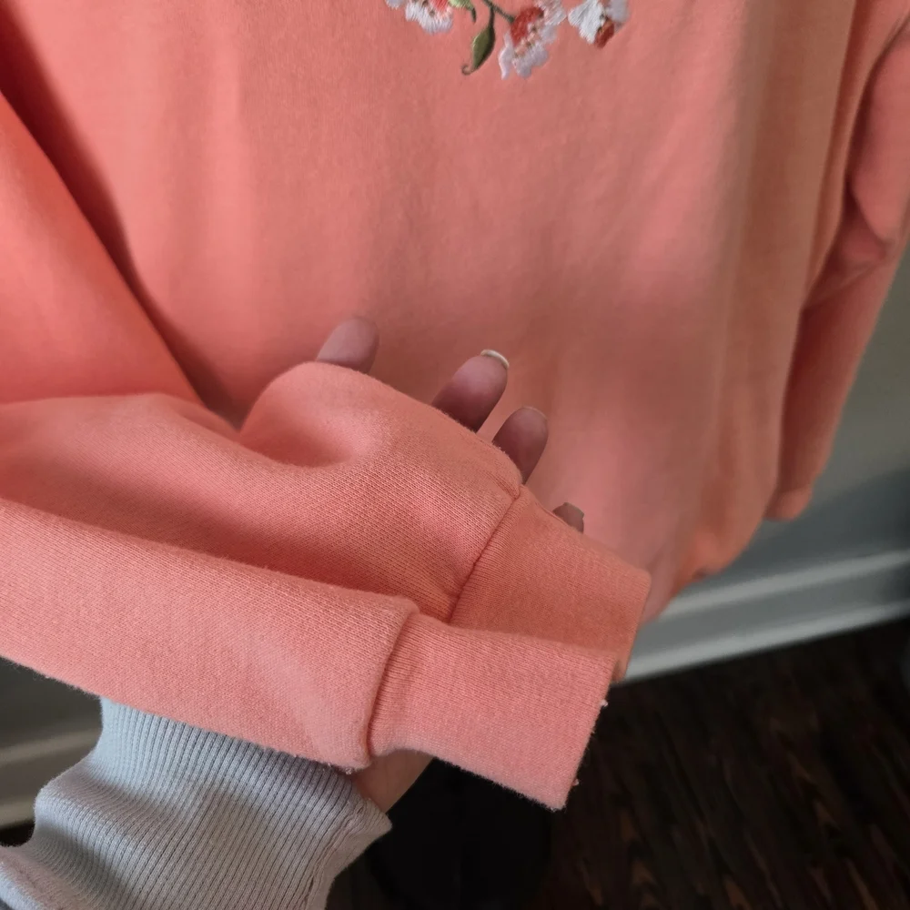 Morning Sun Cottagecore Coral Pink Hummingbird Floral Embroidered Sweatshirt